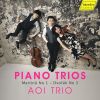 Download track Dvořák Piano Trio No. 3 In F Minor, Op. 65, B. 130 II. Allegretto Grazioso