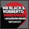 Download track Mindsweep (Original Mix)