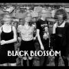 Download track Black Blossom