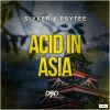 Download track Acid In Asia (Naellow Remix)