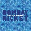 Download track Electric Bhairavi'