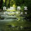 Download track 悠度温柔 (舒缓纯音乐)