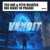 Download track One Night In Prague