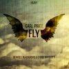 Download track Fly (Blackliquid Remix)