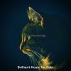 Download track Ambience (Sleeping Cats)