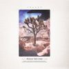 Download track Joshua Tree Park