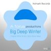 Download track Big Deep Winter (Mac Tribal Winter Dub)