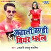 Download track Jawani Thandi Beer Bhail