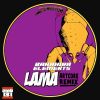 Download track Lama (Artcore Remix)