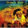 Download track Shaman Spirit