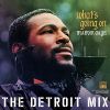 Download track What's Going On (Detriot Mix)