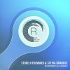 Download track Store'n'forward And Sylvia Brandse-Yesterdays And Futures (Radio Edit)