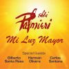 Download track Mi Luz Mayor