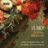 Download track 2. Sonata In B Minor BWV 1014 - II. Allegro