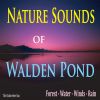 Download track Memories Of Thoreau (Sounds Of Walden Pond)