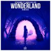 Download track Wonderland (Metrush Remix)