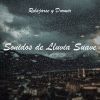 Download track Relajarse: Sonidos De Lluvia Suave, Pt. 20