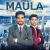 Download track Maula