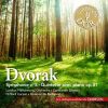 Download track Symphony No. 8 - Allegro Con Brio - Un Poco Meno Mosso - Poco Meno Mosso