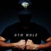 Download track Wolè