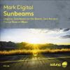 Download track Sunbeams (Tom Bro Remix)