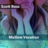 Download track Mellow Vacation (Drums Bass And Percussion)