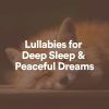 Download track Lullabies All Night Forever