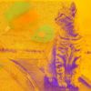 Download track Funky Ambience For Friendly Cats