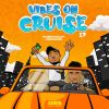 Download track Vibes On Cruise