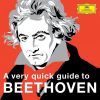 Download track Symphony No. 9 In D Minor, Op. 125: Presto - 