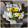 Download track Classical Music For Studying