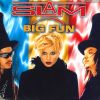 Download track Big Fun (Radio Edit II)