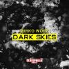 Download track Dark Skies (Noetic Curve Remix)