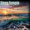 Download track Deep Sleep With The Sea