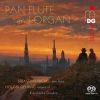 Download track Concerto For Pan Flute And Organ In A Minor, BWV 593 I. Allegro
