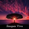 Download track Sinapsis Activa