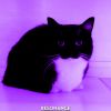 Download track Resonance (Slowed + Reverb)