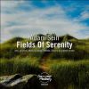 Download track Fields Of Serenity (Mark & Lukas Remix)