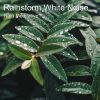 Download track Meditative Rain