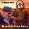 Download track Catfish Blues