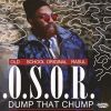 Download track Dump That Chump (Instrumental)