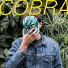 Download track Cobra I