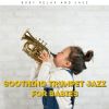 Download track Soothing Lullaby