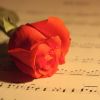 Download track Enchanting Rose Garden