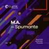 Download track Spumante