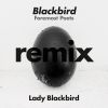 Download track Blackbird (Foremost Poets Adventure Mix)