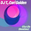 Download track City Life (Birds Of Mind Remix)