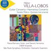 Download track 01. Guitar Concerto, W501 I. Allegro Preciso