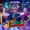 Download track La Cumbia Chola