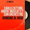 Download track Rondine Al Nido